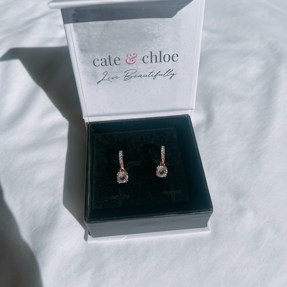 Cate & Chloe McKenzie 18k Rose Gold Plated Drop Dangle Earrings with Swarovski - Picture 4 of 9